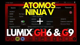 Atomos NINJA V & LUMIX GH6/G9 // What you need to know and Q&A