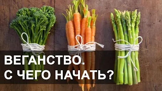 Вегетарианство, веганство. С чего начать? Советы начинающим веганам.