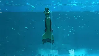 Шоу русалок на острове Фукуок. Mermaid show on Phu Quoc island.