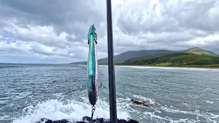 Lure Fishing for Bass in Ireland