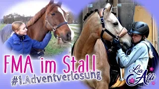 Lia & Alfi - FMA im Stall und 1. Adventverlosung