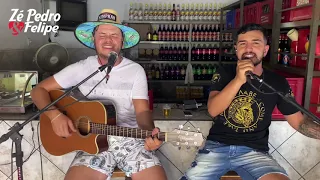 Especial Bar da Neuza - POUTPORRI: Nos Bares da Cidade / Ela é demais (Zé Pedro e Felipe - Cover)