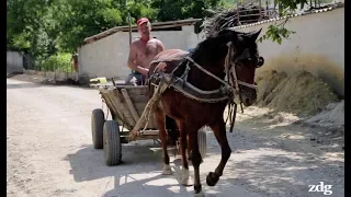 В родном селе молдавского олигарха