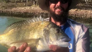 Fishing Forster October 2019