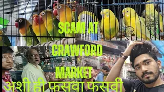 Mumbai crawford market! Budgies Bird!pet market #budgies #birds #viral #mumbai #trending