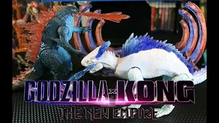 Godzilla vs Shimo 2-Pack Review/Godzilla x Kong The New Empire