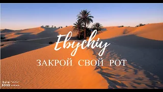 Stimyl - Закрой свой рот (VARSKVA) (Remix)