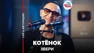 Звери - Котёнок (LIVE @ Авторадио)