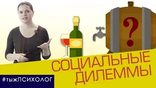 #тыжПСИХОЛОГ: Трагедия общин. Социальные дилеммы