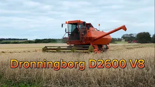 Dronningborg D2600 V8 - Høst Havbro 2023