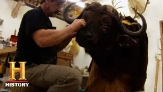 Mounted in Alaska: Taxidermy 101 | History