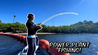 Power Plant Fishing With Light Tackle