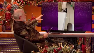 Squirrel playing dead  (The Graham Norton Show)