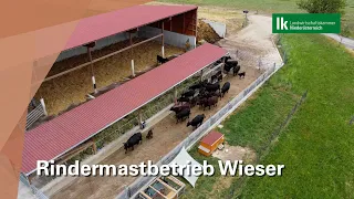 Rindermastbetrieb Familie Wieser