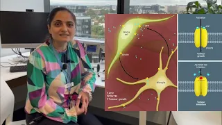 Brain cancer research - Dr Mastura Monif