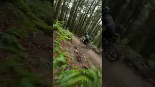 flying through the woods
