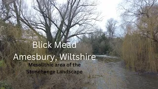 Blick Mead, Amesbury, Wiltshire. Mesolithic area of the Stonehenge Landscape