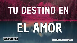 💌Esto es un MENSAJE de los ÁNGELES PARA TI-  DIGEON -Arcángel Chamuel- E. VERTI