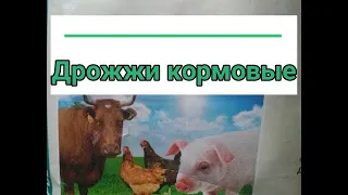 Дрожжевание корма для кур / два способа