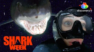 Night Diving with Mako Sharks | Dawn of the Monster Mako | discovery+