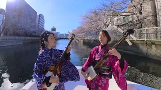 Shamisen Under The Cherry Blossoms [Sakura Original Version] - Ki&Ki 輝&輝 津軽三味線 [4K]