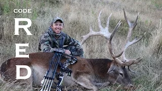 Bowhunting Free Range Red Stags In New Zealand, CODE RED.