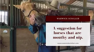Solving biting or nipping issues with horses