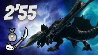 MHW Iceborne Black Diablos 2'55 Insect Glaive WR