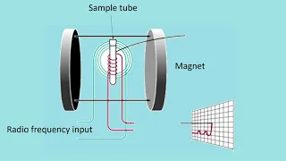 Nuclear Magnetic Resonance (NMR): Principles