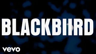 BLACKBIIRD (Official Lyric Video)