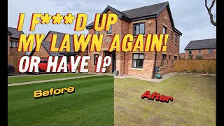 Make Your Lawn Thicker and Better with Over Seeding! // Renovating my Lawn