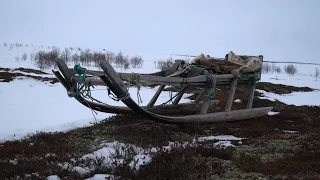 Саами Кольского полуострова. Они не любят когда их называют лопарями, а их землю — Лапландией