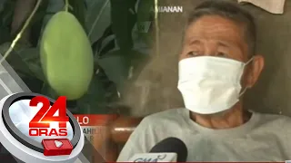 Lolong nakulong dahil umano sa pangunguha ng mangga, ibebenta raw sana ang mga prutas... | 24 Oras