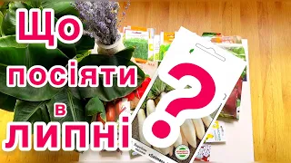 Що обов’язково сію в липні⁉️в двічі більше врожаю👍