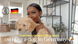 Things NOBODY tells you about owning a dog in Germany as an EXPAT