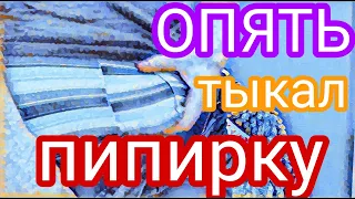 Самвел Адамян не плюй в колодец,Севка,вылетит не поймаешь.Хватает и ртом и ж*пой.