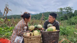 FULL VIDEO: 10 days of manual rice harvesting. and pumpkins to the market to sell. Build life.