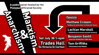 "Marxism & Anarchism: Radical Ideologies Today" (7/30/22 panel)