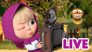 ماشا والدب 👱‍♀️ LIVE STREAM! 📷🙈 التعايش 📷🙈 Masha and the Bear