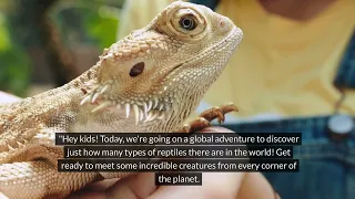 "Discover the World of Reptiles: Over 10,000 Species!"(@FunLearning-xu2qp)