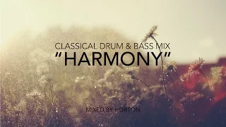 "Harmony" ~ Classical Drum & Bass Mix