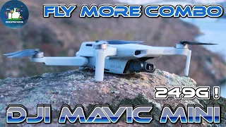 ✅ DJI Mavic Mini Fly More Combo! Полный Обзор. Тест Камеры и Дальности в Минус 10!