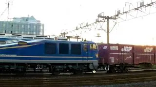 EF510-511号機　2095レ連結作業　新鶴見信号所にて