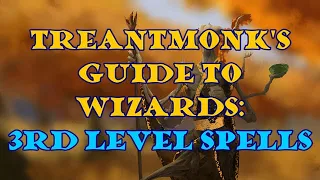 Treantmonk's Guide to Wizards: 3rd level spells