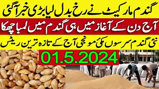 New Gandum SarSon rates 2024 || makki munji bajra till rates today punjab