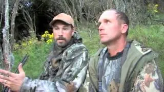 Fallow Buck Hunting with Big River Safaris