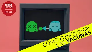 Cómo funcionan las vacunas y qué es la inmunidad de rebaño