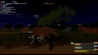 Roblox sonora testing life of a anceint horse