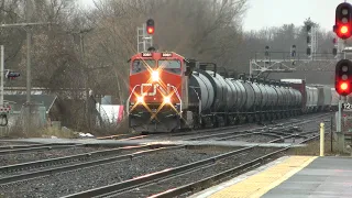CN Train 368 Eastbound February 26, 2024
