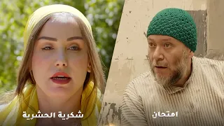 لوحة امتحان لوحة شكرية الحشرية